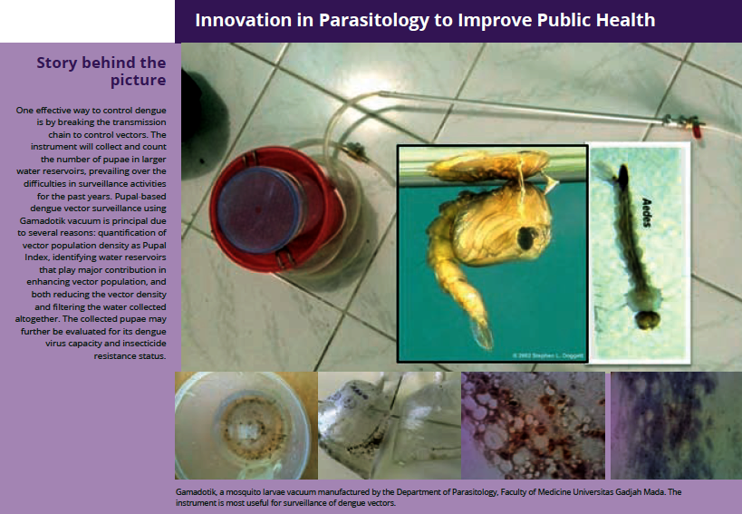 Palli Insect Department of Parasitology - FK-KMK UGM
